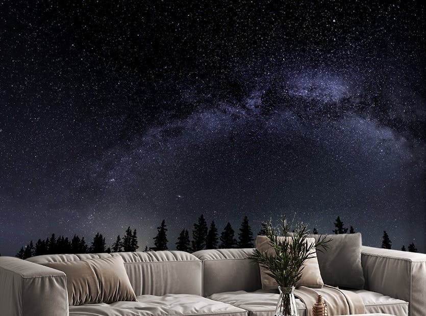 Peel and Stick Milky Way Starry Night Wallpaper Mural