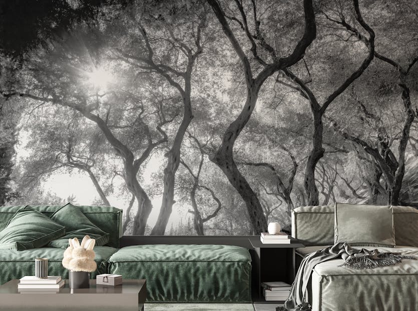 Removable Black & White Natural Olive Groves Forest Wallpaper