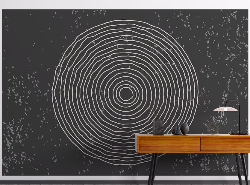 Peel and Stick Black & White Concentric Circles Wallpaper Mural