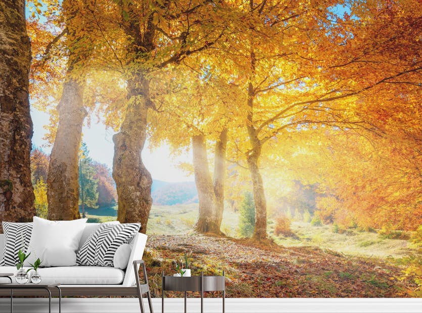 Removable Yellow Autumn Leaves Forest Wallpaper Mural
