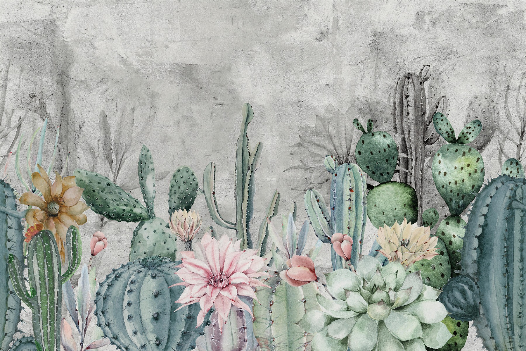 Arizona Cactus Wallpapers  Top Free Arizona Cactus Backgrounds   WallpaperAccess