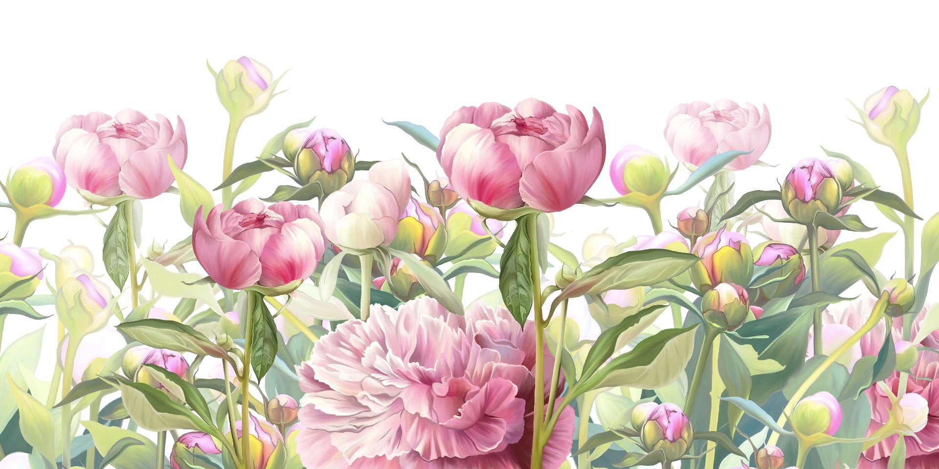 281424966 Catlett Pink Floral Toss Wallpaper By Advantage 58 OFF