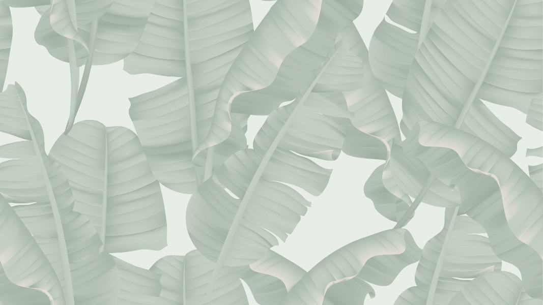 Custom Banana and Tropical leaves Wallpaper Mural For Living Room  Paper  Plane Design