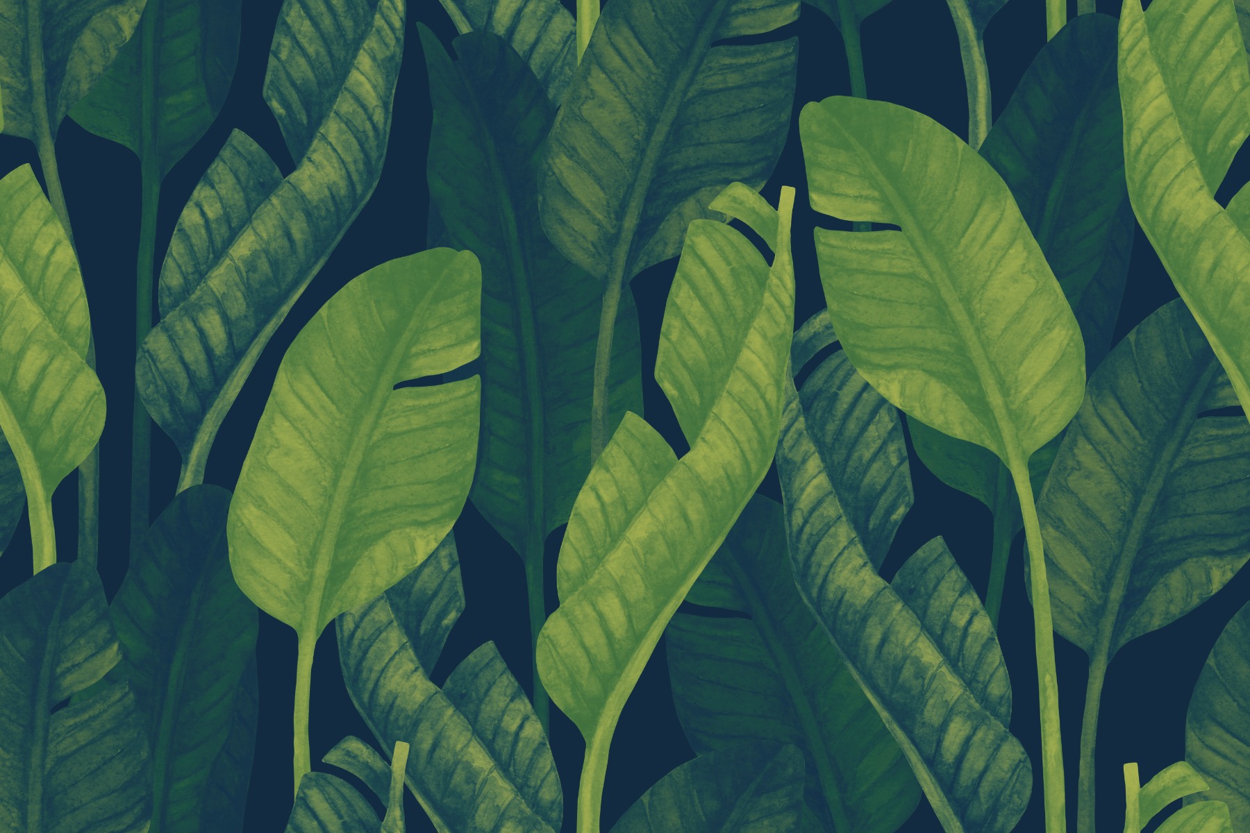 Buy Banana Leaf Wallpaper Removable Banana Leaf Wallpaper Floral Online in  India  Etsy