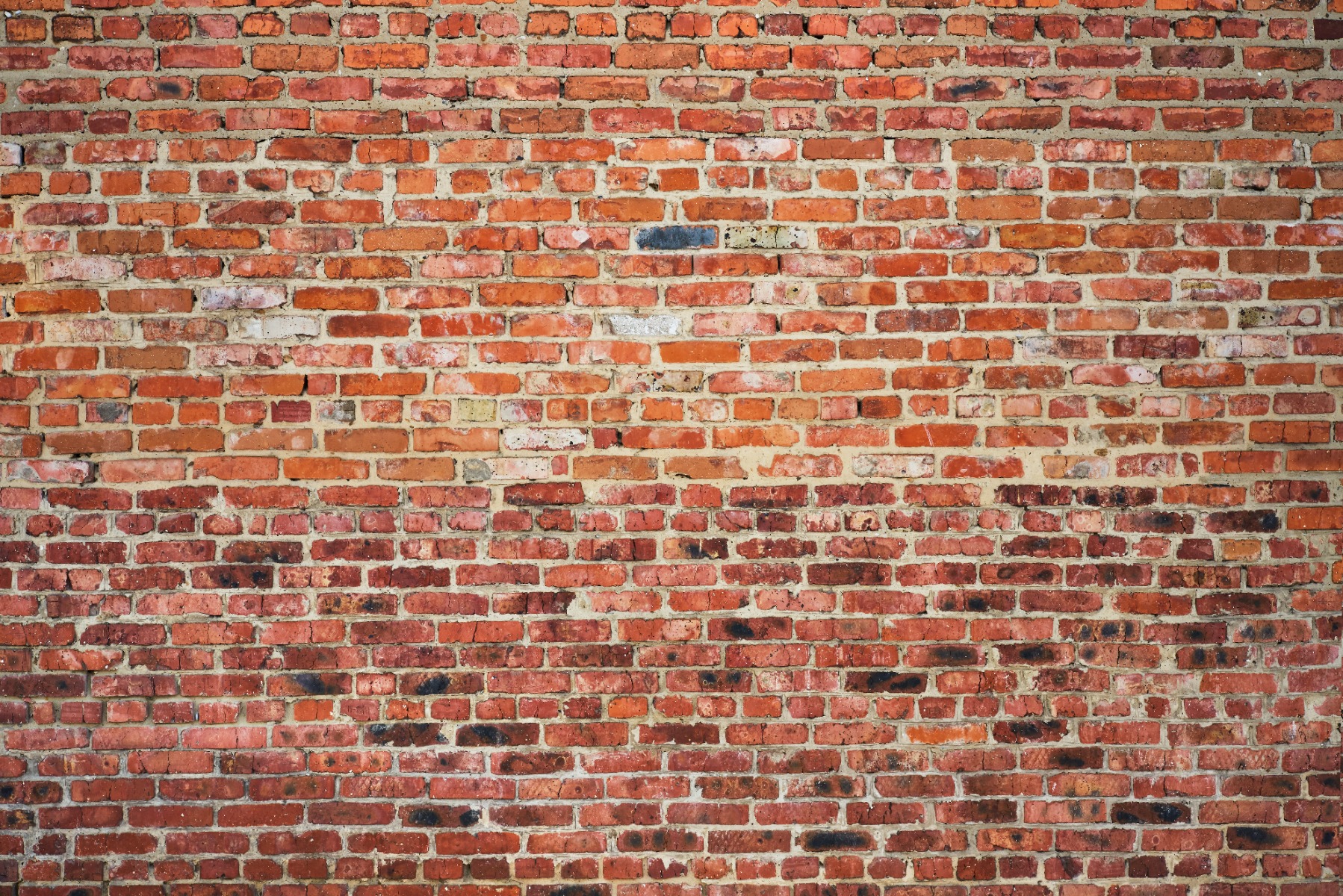 Dark Red Brick Wall Images  Browse 420929 Stock Photos Vectors and  Video  Adobe Stock
