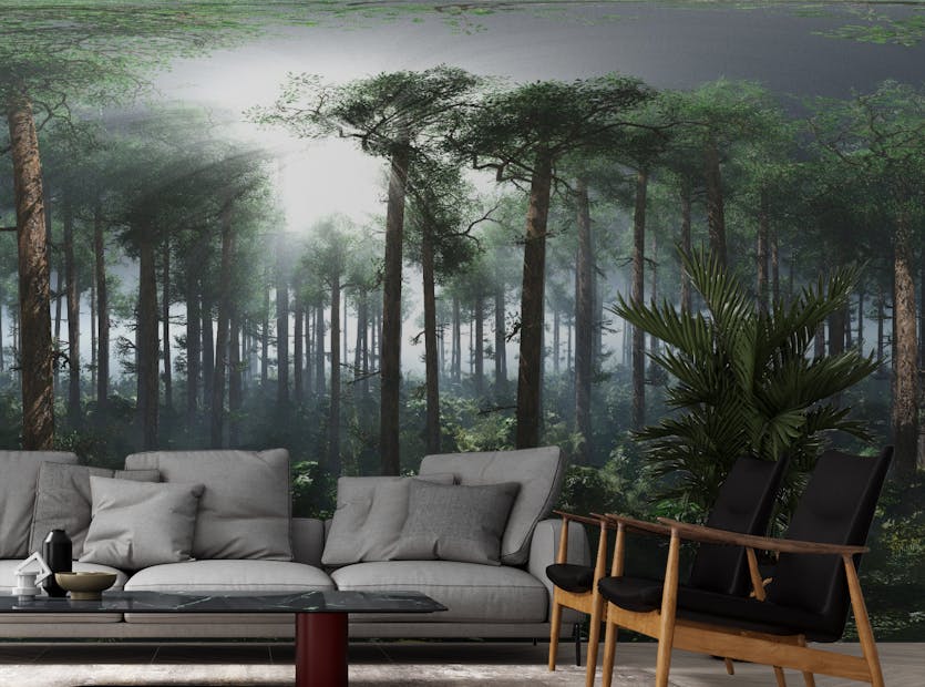 Peel and Stick Tropical Foggy Forest Wallpaper Murals