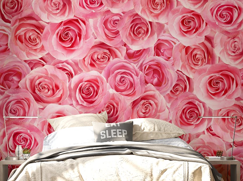 Peel and Stick Blush Pink Roses Self Stick Wallpaper