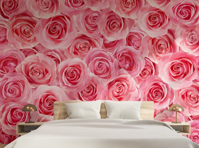 Removable Blush Pink Roses Self Stick Wallpaper