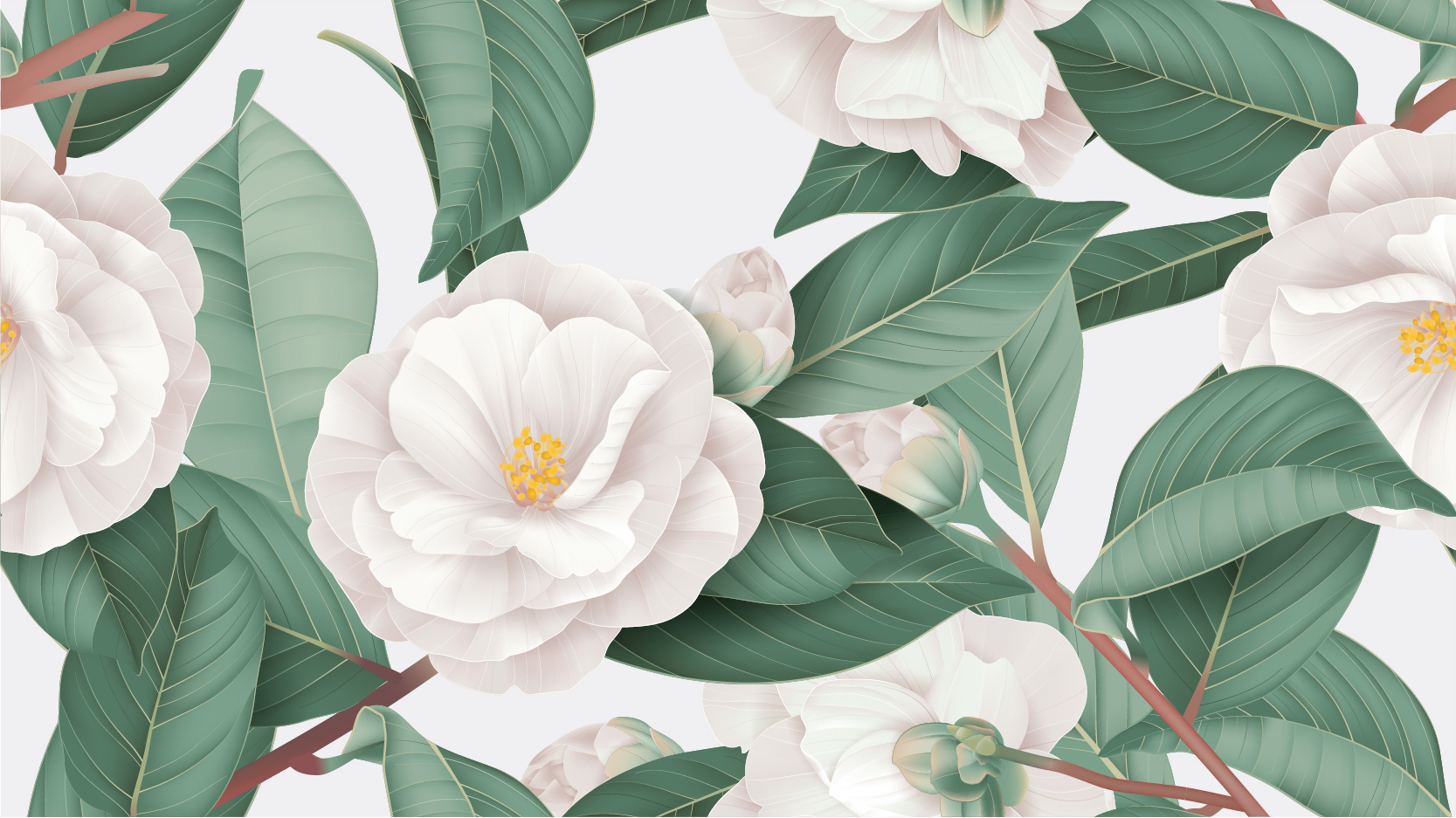 Camellia Garden Wallpaper in Spring on White by Anna French | Jane Clayton