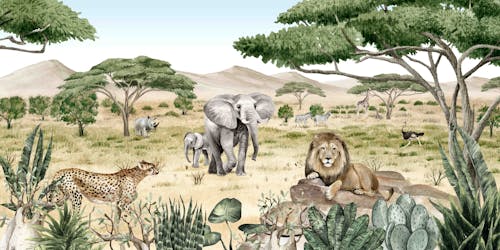 Savanna Safari Sights Wall Murals